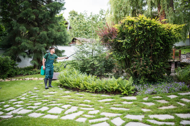 Best Flea Control Services  in Woodland, CA