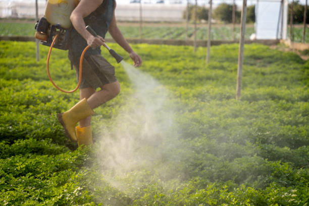 Best Affordable Pest Control Services  in Woodland, CA