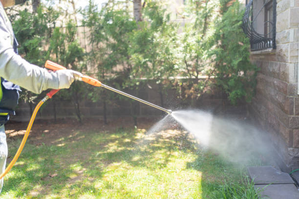 Best Best Pest Control Companies  in Woodland, CA