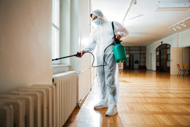 Best Flea Control Services  in Woodland, CA